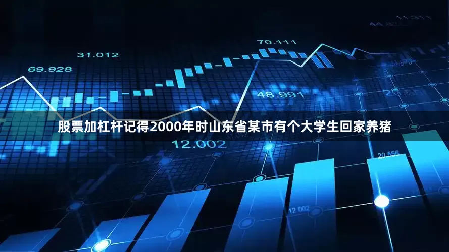 股票加杠杆记得2000年时山东省某市有个大学生回家养猪