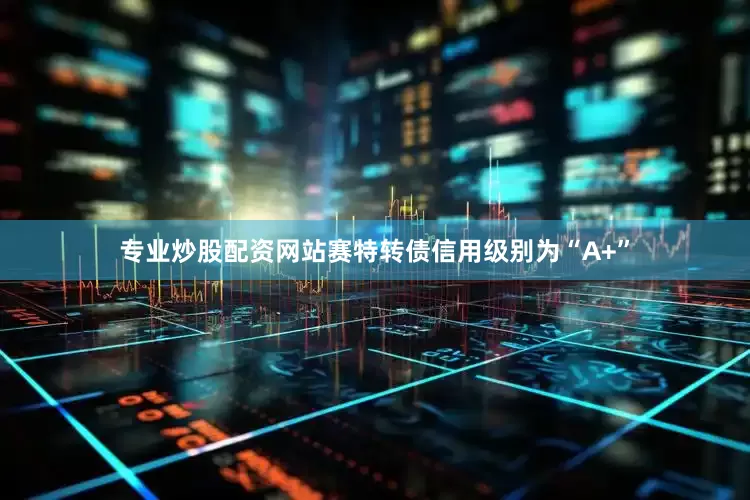 专业炒股配资网站赛特转债信用级别为“A+”