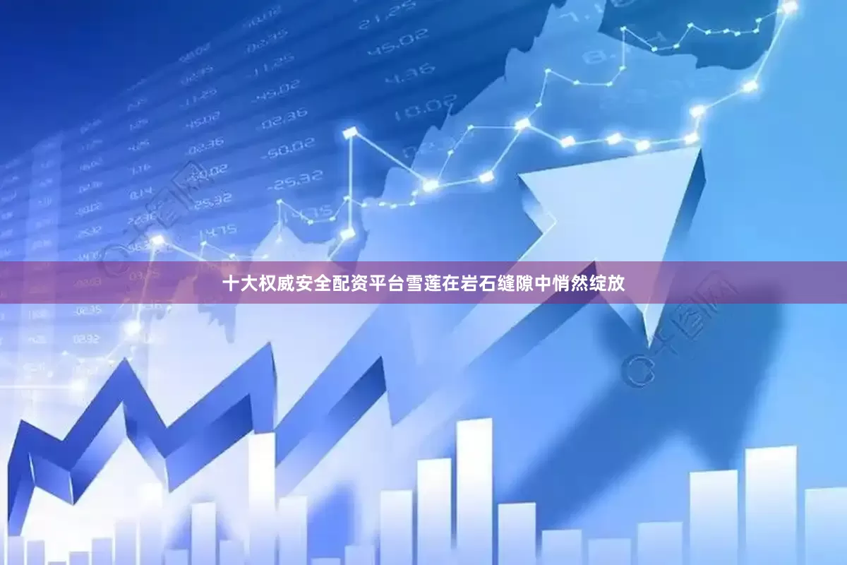 十大权威安全配资平台雪莲在岩石缝隙中悄然绽放