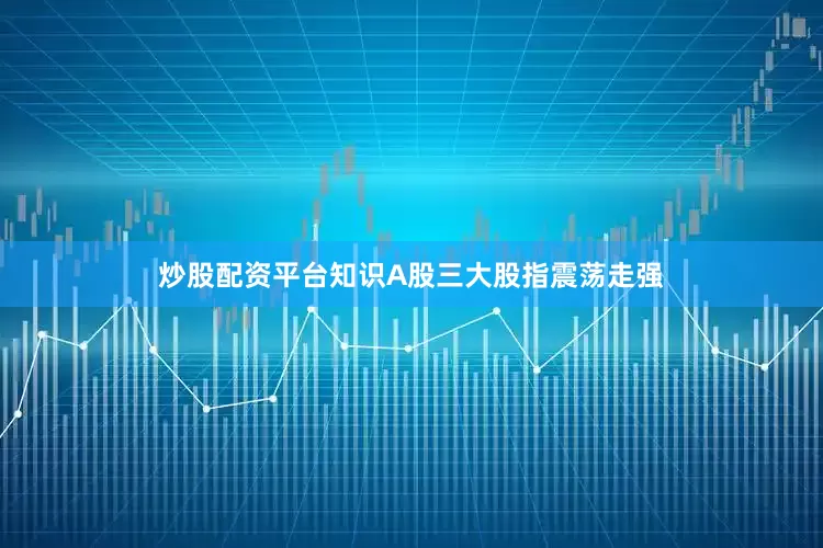 炒股配资平台知识A股三大股指震荡走强