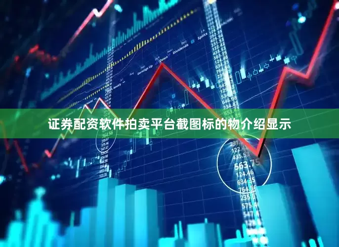 证券配资软件拍卖平台截图标的物介绍显示