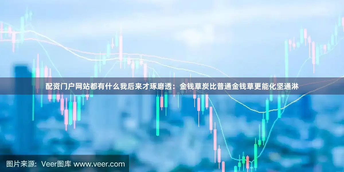 配资门户网站都有什么我后来才琢磨透：金钱草炭比普通金钱草更能化坚通淋