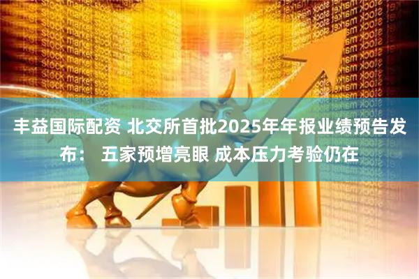 丰益国际配资 北交所首批2025年年报业绩预告发布： 五家预增亮眼 成本压力考验仍在